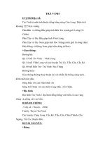 Một số thông tin về Trà Vinh