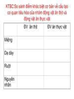 Bai 17 Ho hap SH11NC