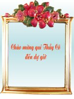 TIẾT 72: CHIẾC LƯỢC NGÀ