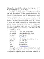 Tổ chức hạch toán công ty Deloitte Vietnam