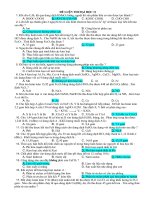 DE LTDH so 11_Co dap an