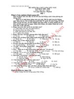 Đề khảo sát chất lượng đầu năm