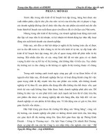Tổ chức tiêu thụ sản phẩm nền đất khu đô thị mới của Công ty Thương mại – Du lịch  Nam Cường tại Hải Dương