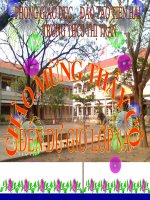 tính chất đường phân giác trong tam giác