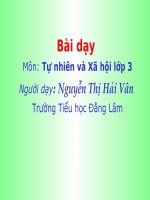 TNXH Lớp 3- Tỉnh thành phố nơi bạn đang sống