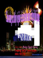 Bài 42 tiết 44: Ảnh hưởng của ánh sáng đến đời sống sinh vật