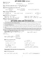 Chuyên đề BPT vô tỉ trong các đề thi đại học