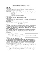 Đề Thi HSG lớp 6