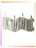 Vòng tuần hoàn nước