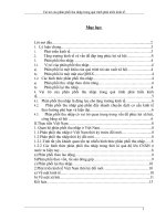 Các hình thức phân phối thu nhập trong thời kì quá độ lên CNXH ở nước ta hiện nay