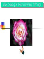 BÀI TẬP PHƯƠNG TRÌNH ĐƯỜNG THẲNG (ĐẠI SỐ 10)