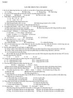 50 câu cân bằng và tốc độ phản ứng