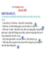 thỏ của hoàng oanh -thcs dinh thanh thoai son an giang