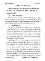 Sáng kiến kinh nghiệm 08 -09