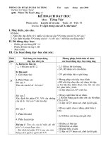 Luyện từ và câu tuần 21