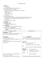 Giáo án hóa 11