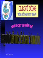 Ngoaikhoa-20/10(Mới)