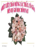 Bại. Ứng dụng tích phân để tính diện tích T63(NC)