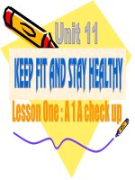 Unit 11 leson1 A1