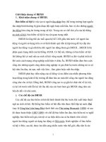 Thực trạng của công tác thực hiện BHXH dài hạn