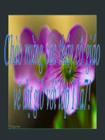 phuong phap bien luan