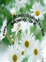 Bài 25: Biến dạng của lá