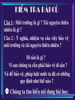 bai 15 .aûo veä di aûn aên hoùa