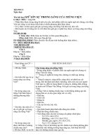 GIỮ GÌN SỰ TRONG SÁNG CỦA TIẾNG VIỆT.