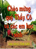 Bài 41 sinh san vo tinh o thuc vat
