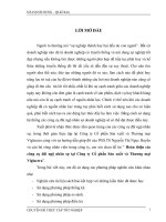 Hoàn thiện các công cụ đãi ngộ nhân sự tại Công ty Cổ phần Sản xuất và Thương mại Viglacera