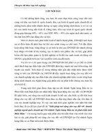 Giải pháp mở rộng cho vay đối với  doanh nghiệp ngoài quốc doanh tại Chi nhánh Ngân hàng Đầu tư và phát triển tỉnh Điên Biên