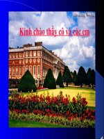 Bài 20: AMINOAXIT( Nang cao)