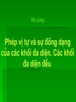 phép VỊ TỰ VÀ SỰ ĐỒNG DẠNG CỦA CÁC KHỐI ĐA DIÊN. CÁC KHỐI ĐA DIỆN ĐỀU (12 NC)