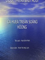 ca hue tren song huong