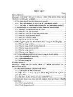 Hoàn thiện phân tích tình hình tài chính tại Công ty Cổ phần Vĩnh Hoàn