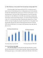 Một số thành tựu cơ bản mà kinh tế Việt Nam đạt được từ khi gia nhập WTO