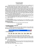 sang kien kn hoa bac 4 cap tinh