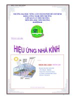 HIỆU ỨNG NHÀ KÍNH_NGUYỄN THANH THÁI