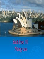 Tế bào nhân thực