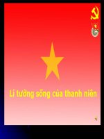 Lý Tưởng Sống Của Thanh Niên