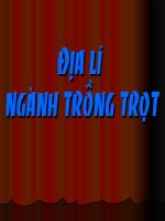 Địa lí ngành trồng trọt
