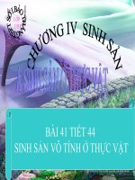 bài 41 sinh học 11 cb