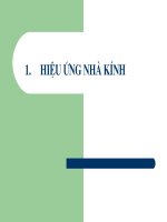 Hiệu ứng nhà kính