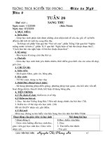 GAV9 (2 cot) tuan 26