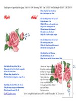 Các bài thơ hay về ngày 20-11