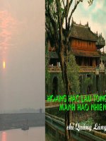 hoang hac lau tong MHN chi Quang lang