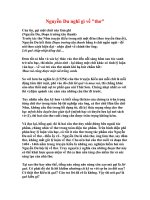 NGUYỄN DU NGHĨ GÌ VỀ THƠ