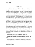 giải pháp hoàn thiên hoạt động của Công ty Hợp danh  Kiểm toán Việt Nam