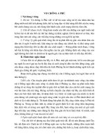 Phân tích: Vợ chồng A Phủ (2)