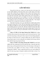 TÌNH HÌNH TỔ CHỨC HẠCH TOÁN KẾ TOÁN TẠI CÔNG TY CP Đầu Tư Xây Dựng Thương Mại VIFRICO